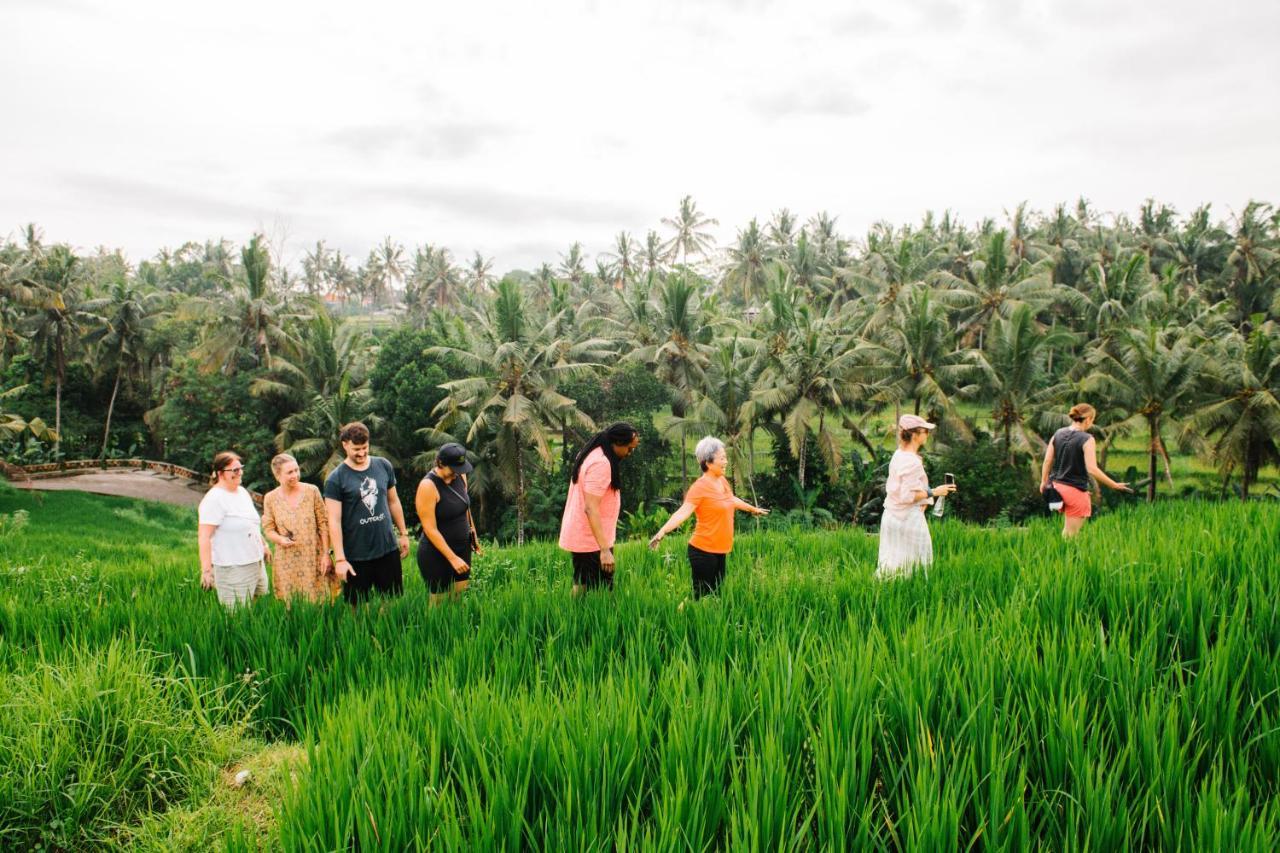 Soulshine Resort And Retreat Ubud Kültér fotó