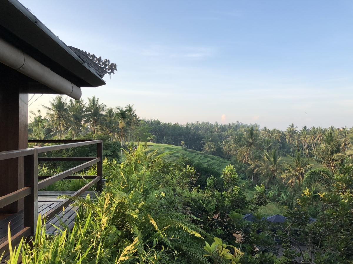 Soulshine Resort And Retreat Ubud Kültér fotó